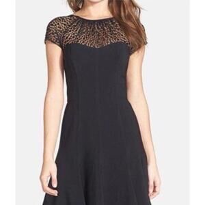 Maggy London Black Dress Fit and‎ Flare with Lace and Cap Sleeves- Size 10 NWT
